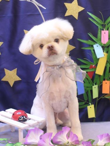 20230708琥珀くん